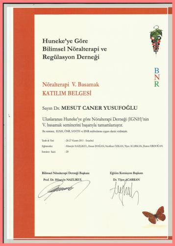 N�ralterapi Kursu V.Basamak Kat�l�m Belgesi    