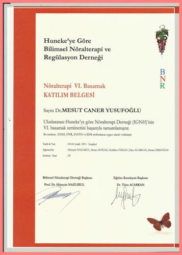 N�ralterapi Kursu VI.Basamak Kat�l�m Belgesi   