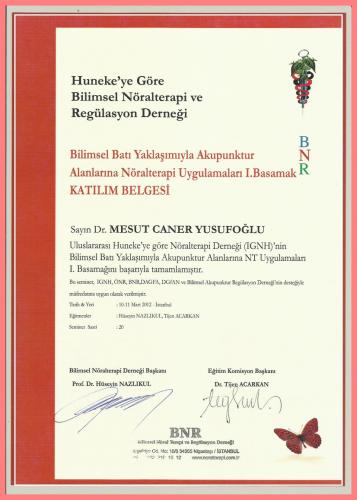 Bilimsel Bat� Yakla��m�yla Akupunktur Alanlar�na N�ralterapi Uygulamalar� I.Basamak Kat�l�m Belgesi  