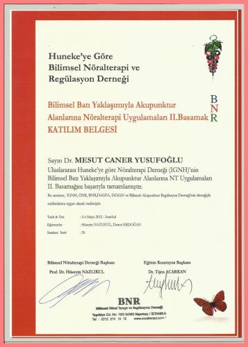 Bilimsel Bat� Yakla��m�yla Akupunktur Alanlar�na N�ralterapi Uygulamalar� II.Basamak Kat�l�m Belgesi   