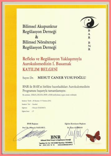 Refleks ve Reg�lasyon Yakla��m�yla Aurokulomedizin 1.Basamak Kat�l�m Belgesi    
