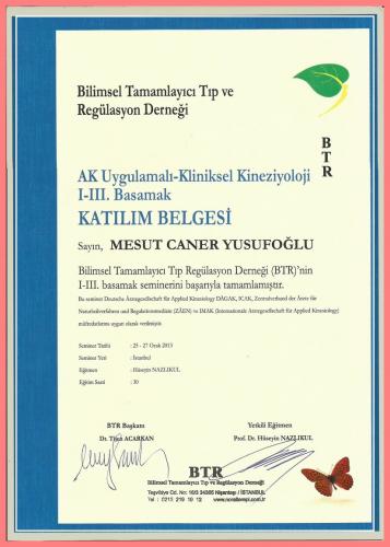 AK Uygulamal�-Kliniksel Kinezyoloji I-III.Basamak Kat�l�m Belgesi   