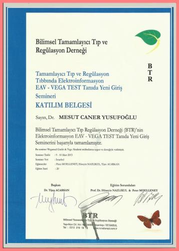 Elektroinformasyon EAV-VEGA TEST Tan�da Yeni Giri� Semineri Kat�l�m Belgesi    