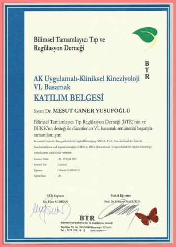 AK Uygulamal� - Kliniksel Kinezyoloji VI.Basamak Kat�l�m Belgesi   