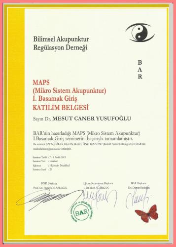 MAPS (Mikro Sistem Akupunktur) I.Basamak Giri�i Kat�l�m Belgesi   