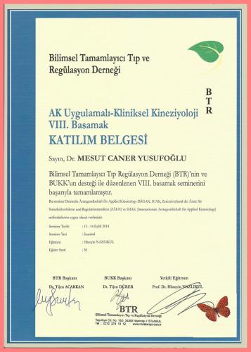 AK Uygulamal� - Kliniksel Kinezyoloji VIII.Basamak Kat�l�m Belgesi   