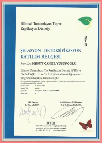 �elasyon- Detoksifikasyon Kat�l�m Belgesi   